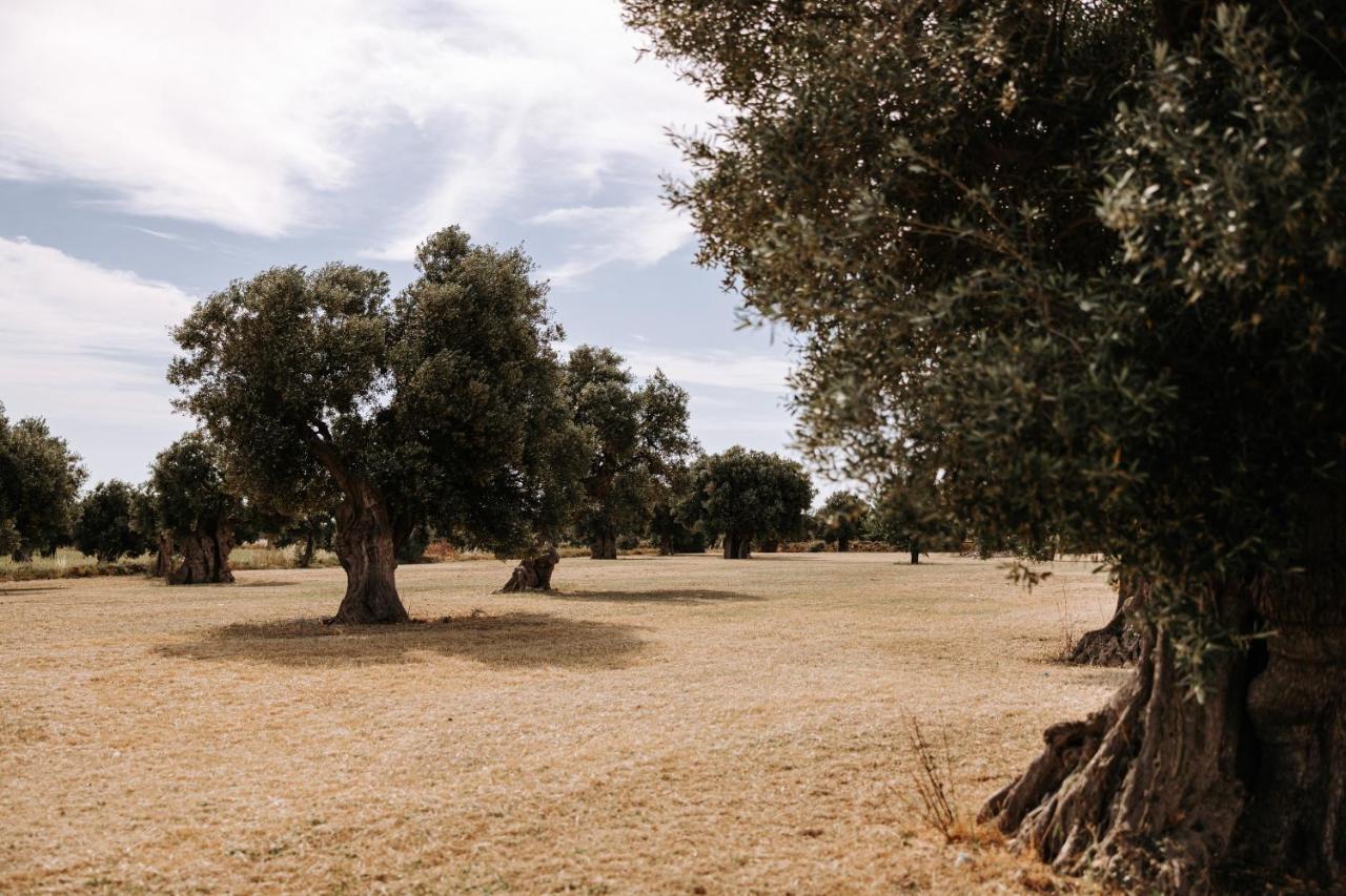 Masseria Garrappa ฟาซาโน ภายนอก รูปภาพ