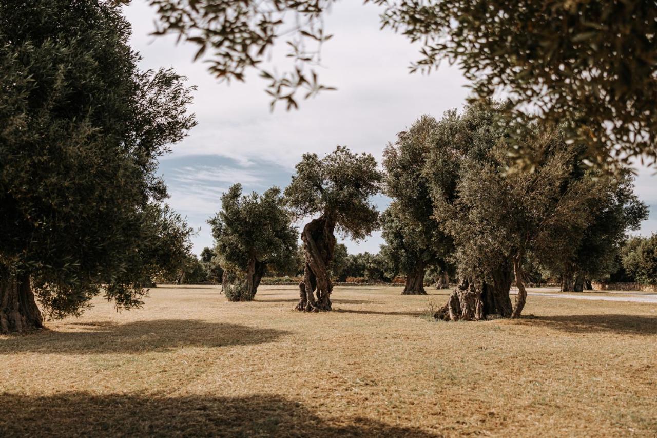Masseria Garrappa ฟาซาโน ภายนอก รูปภาพ