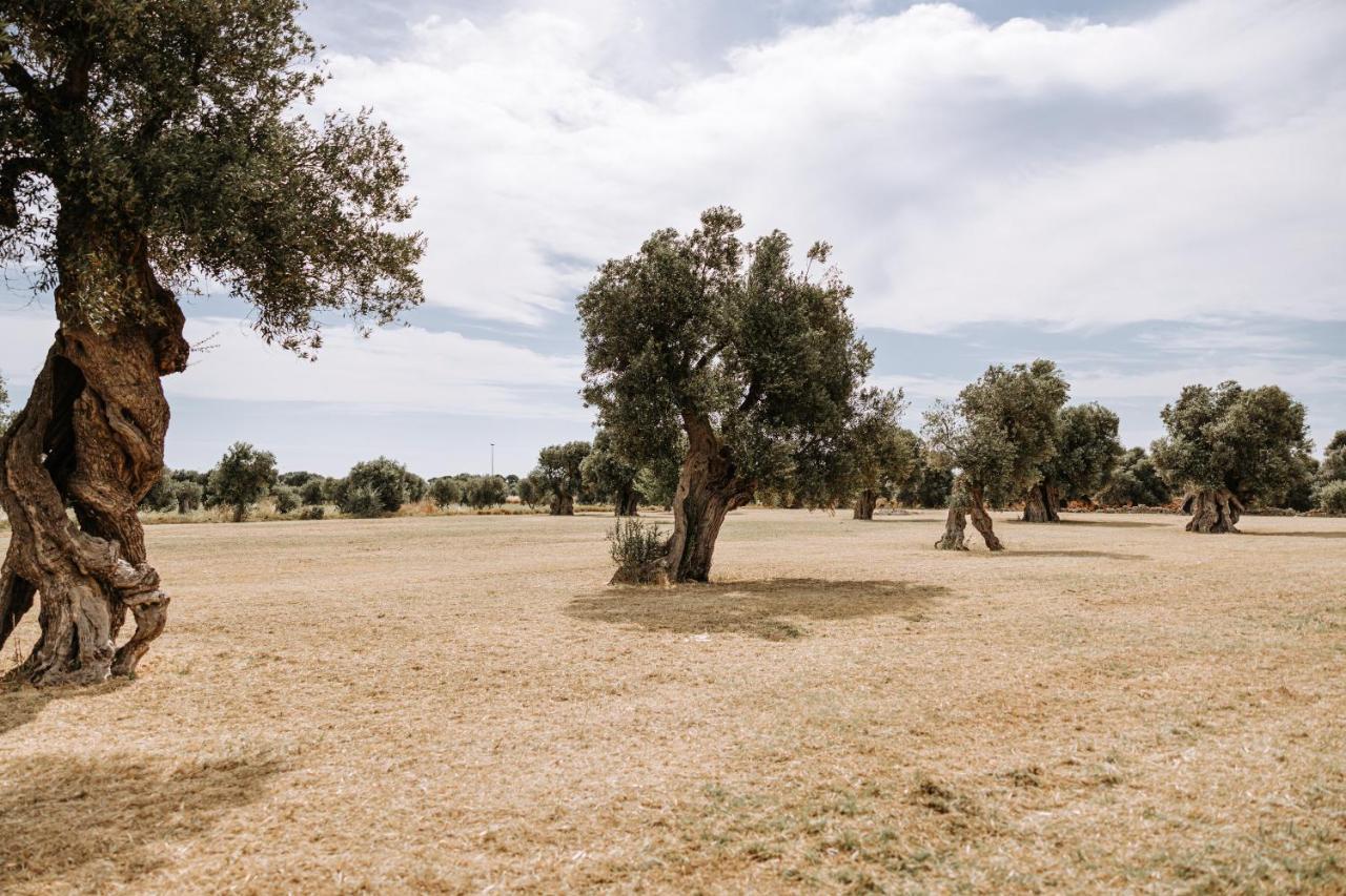 Masseria Garrappa ฟาซาโน ภายนอก รูปภาพ