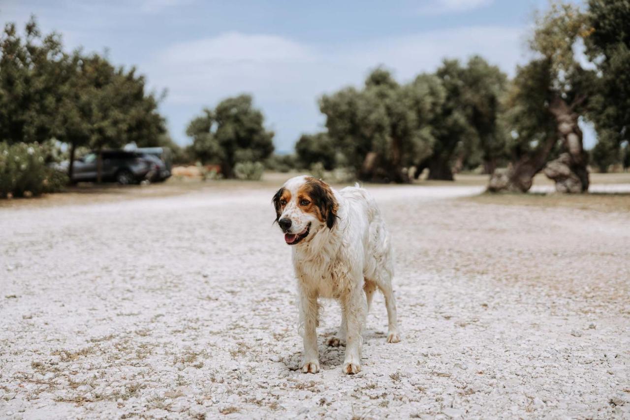 Masseria Garrappa ฟาซาโน ภายนอก รูปภาพ